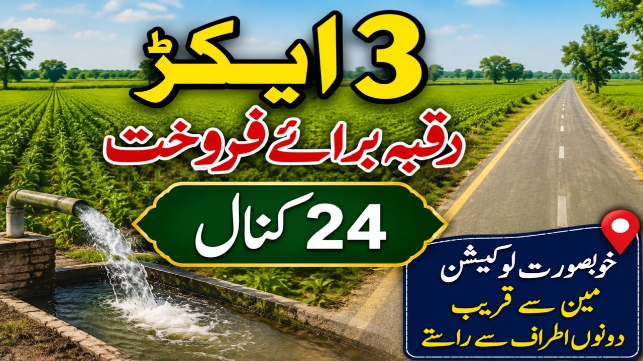 3-Acre Agricultural Land for Sale in Punjab, Pakistan | Affordable Price | Land for Sale | Ep 243
