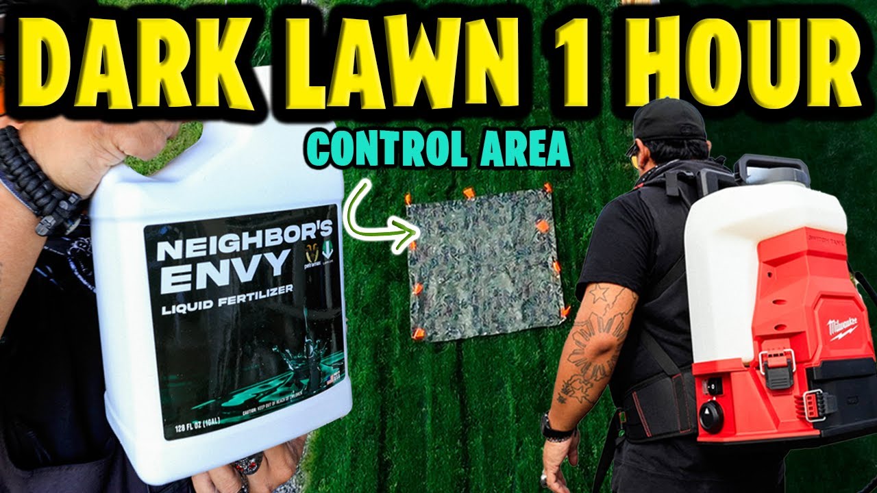 DARK LAWN in 1 HOUR  NOT CLICKBAIT I SHOW THE 1 HOUR RESULTS! Milwaukee Switch Tank Backpack Sprayer