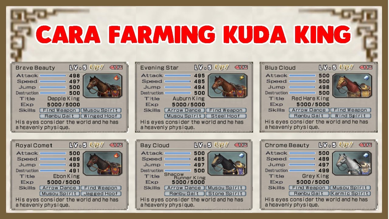 INFO TUTOR KUDA LUBU?
