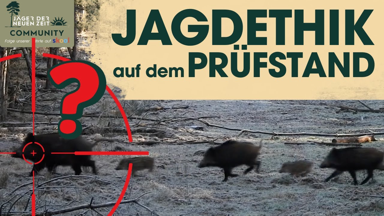 WEIDGERECHTE BEJAGUNG von SAUEN auf der DRÜCKJAGDEN. Korrekte Ansprache ist das A&O!