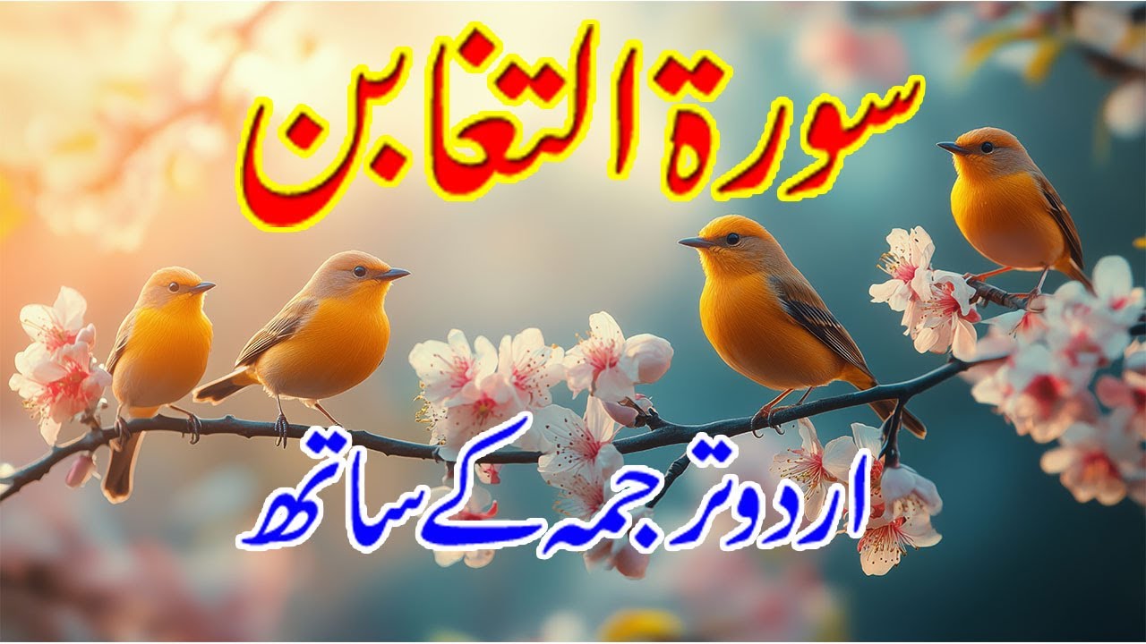 Surah At-Taghabun (سورۃ التغابن) | Urdu Tarjuma Ke Sath | Real Loss, Family Tests & Akhirat