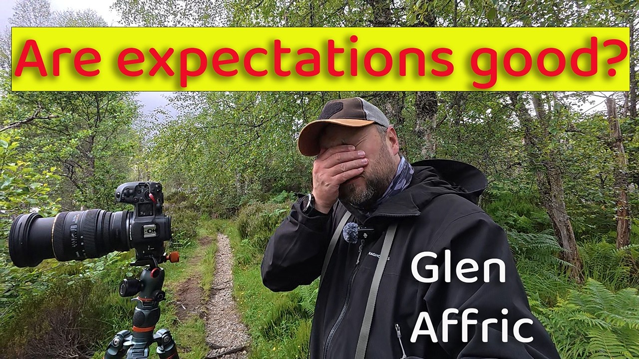 The Stunning Glen Affric - Landscape Photography