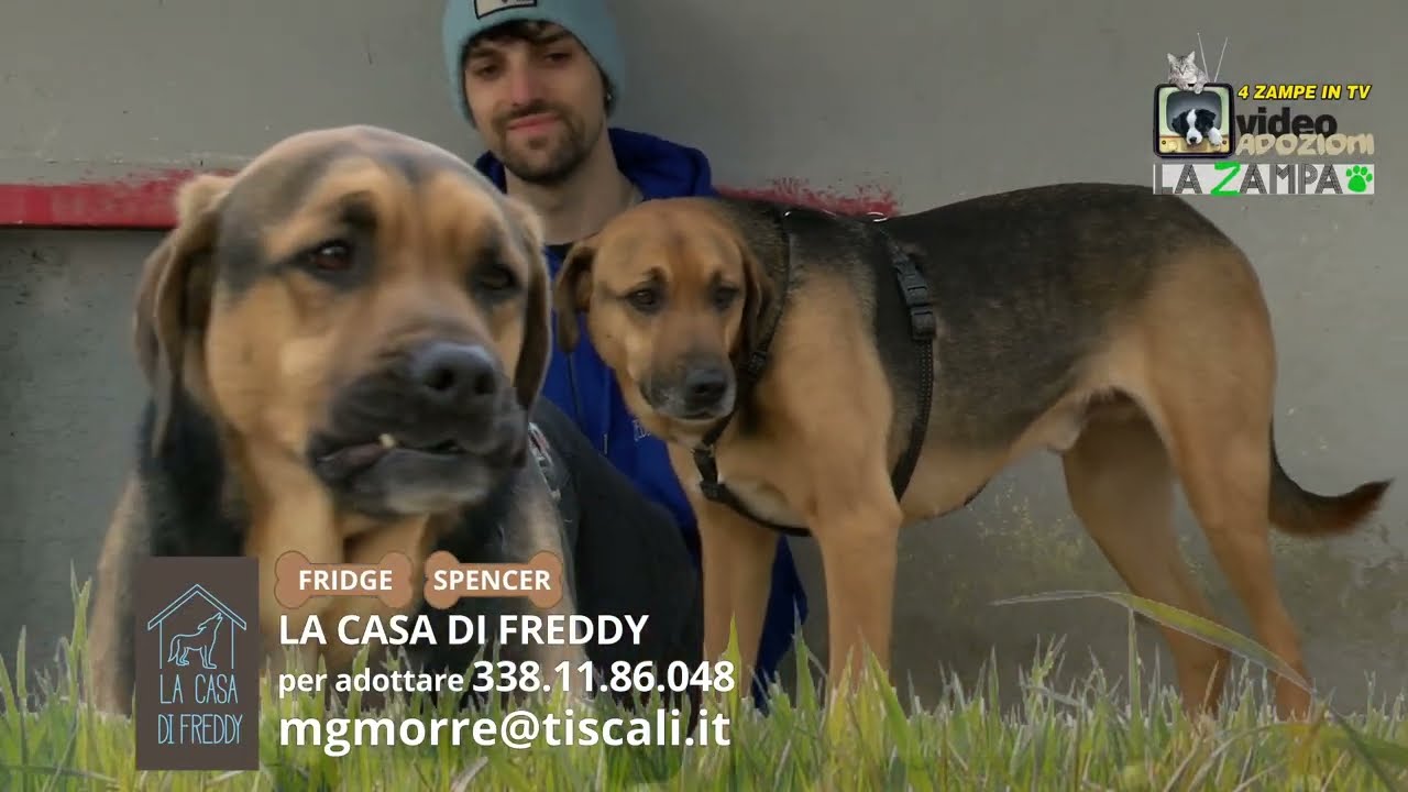 CASA DI FREDDY (07) Puntata 1555