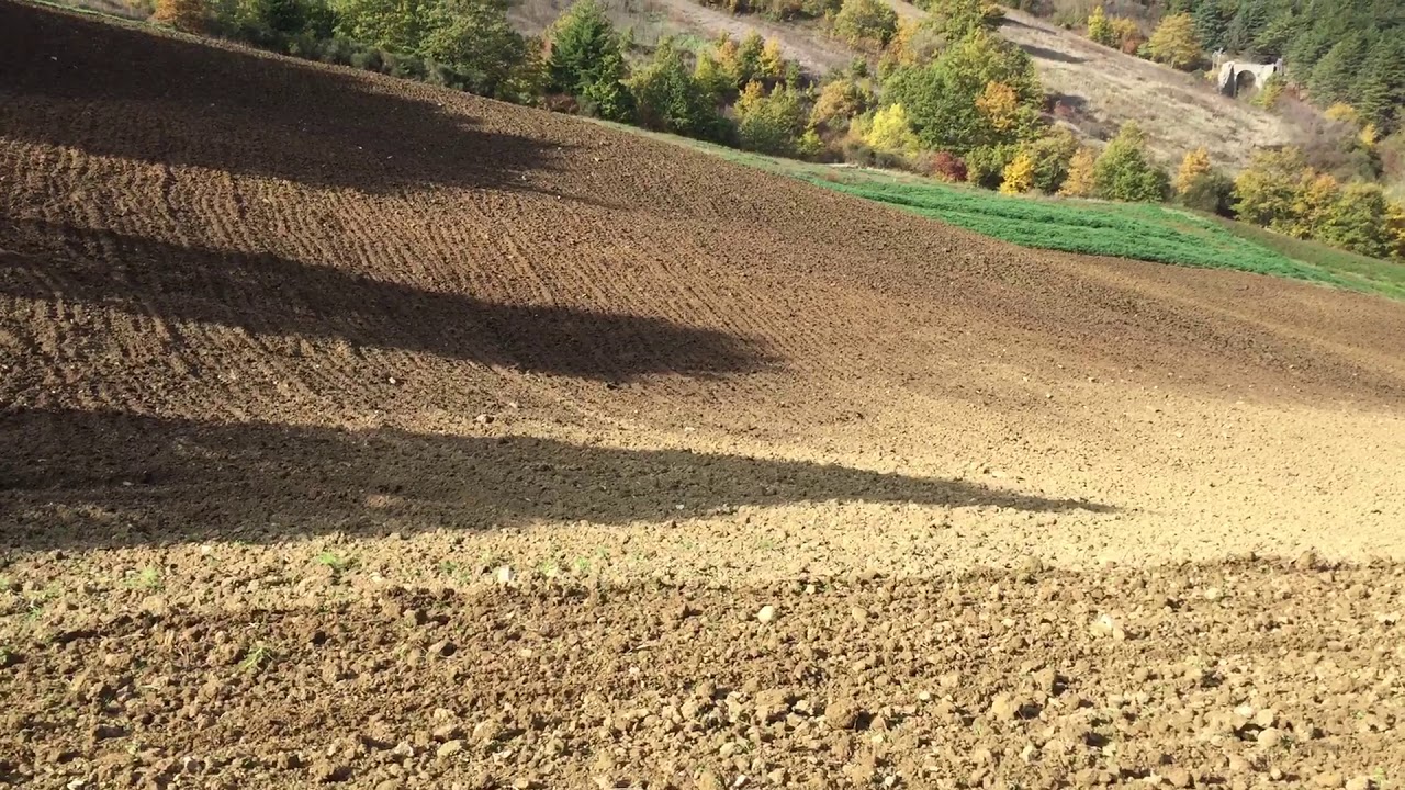 Semina grano 2k20 cingolato Fiatagri 80/65