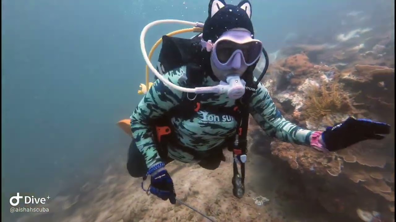 Diving Trip With SeaTango Dive Centre Kota Kinabalu 28 Julai 2024 ( Ahad )