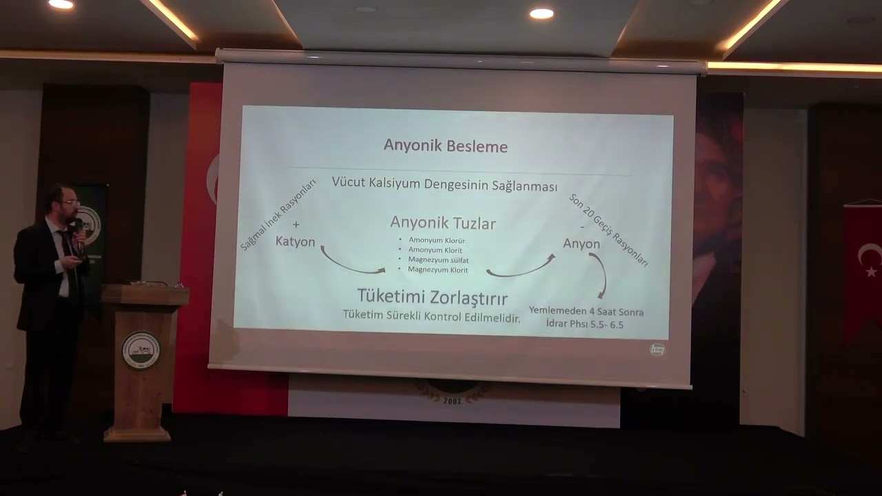 Kuru Dönem ve Geçiş Dönemi Rasyonu Önemi (Pratik Anlatım)