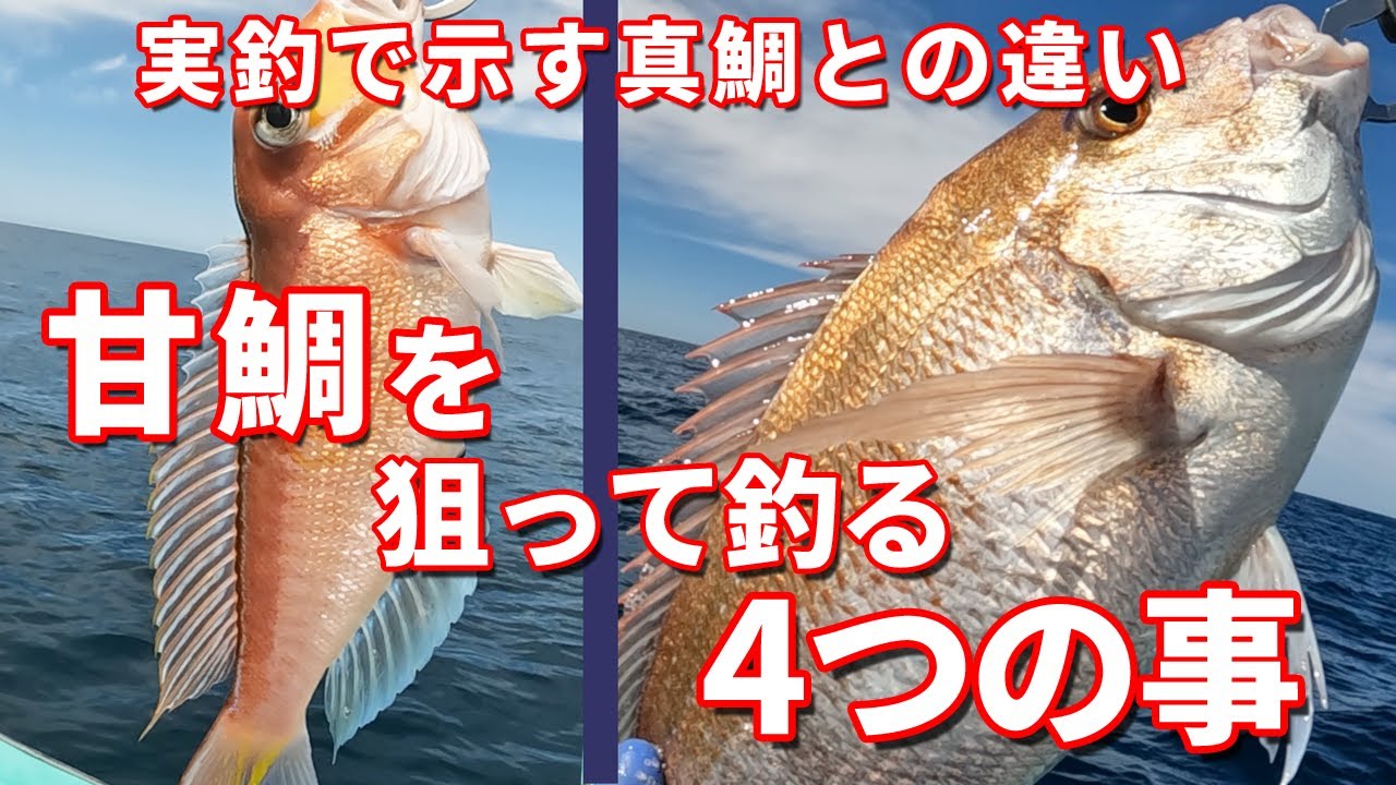 【タイラバ】甘鯛完全攻略！ここをおさえれば狙って釣れる4つの事