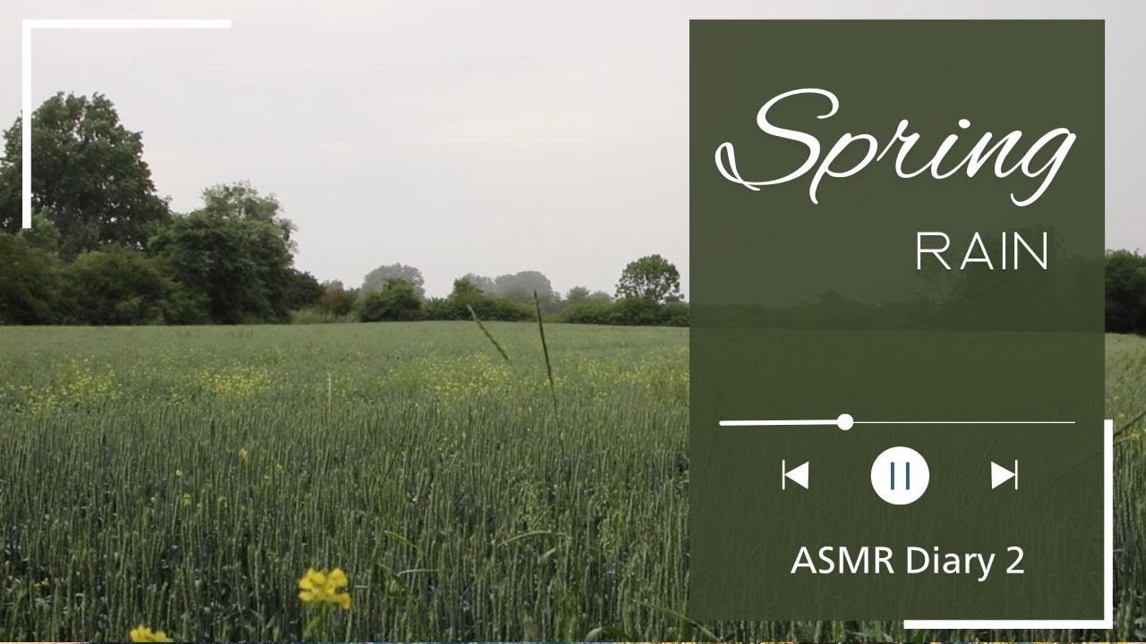Spring rain - nature sounds (no music, no talking) | Sunflowers Shine Diary 2