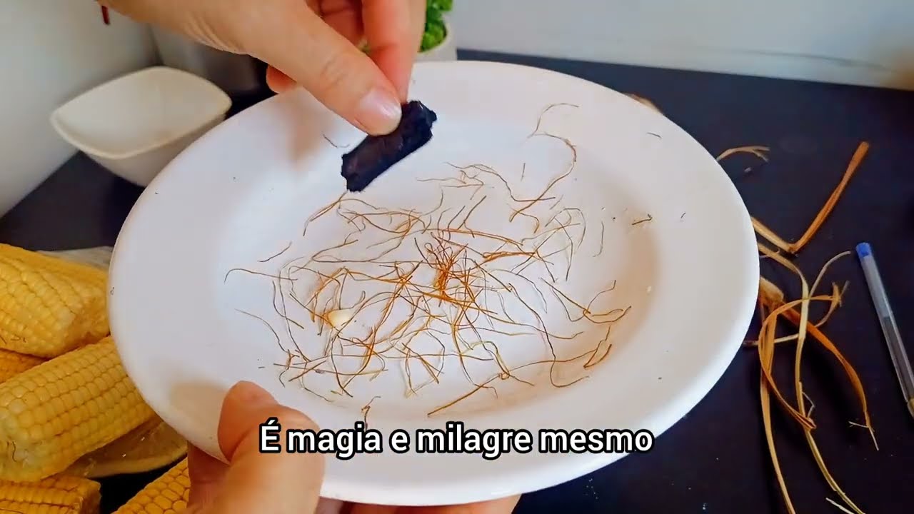 TERMINE HOJE com a Maldição DE FAMILIA,CHEGA DE SOFRER 