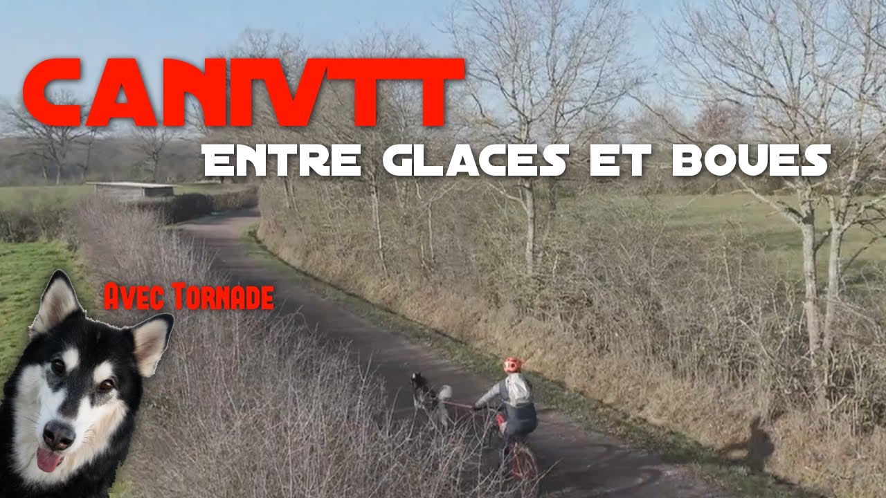 [Cani VTT] Entre glaces et boues