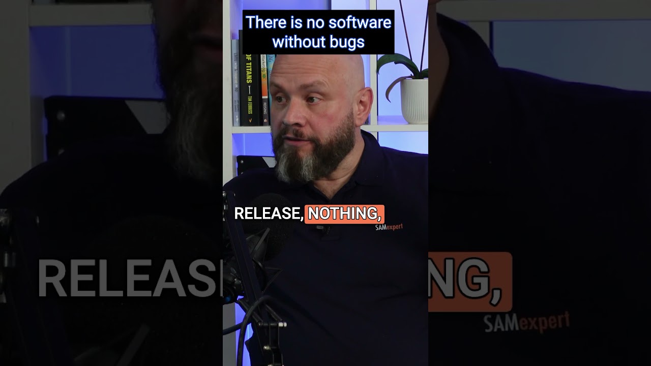 There is no Software Without Bugs