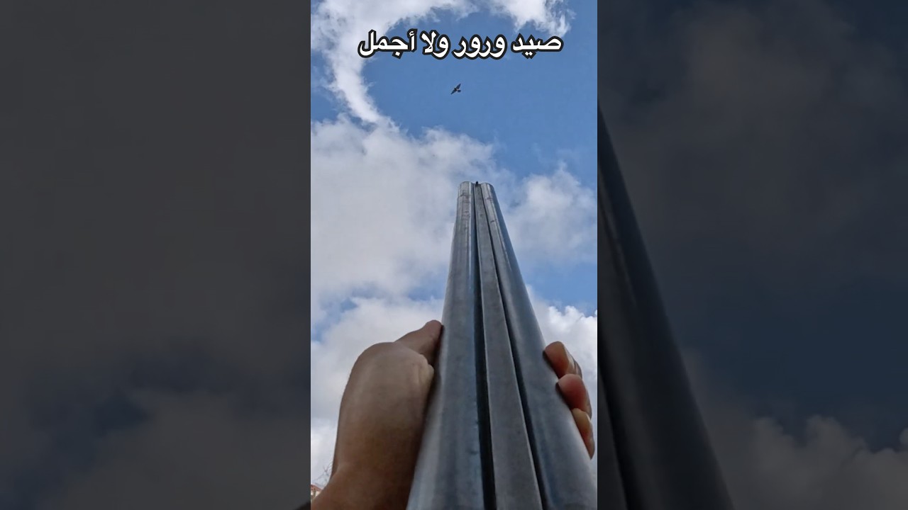 صيد ورور في لبنان #birdsounds #tordo #birds