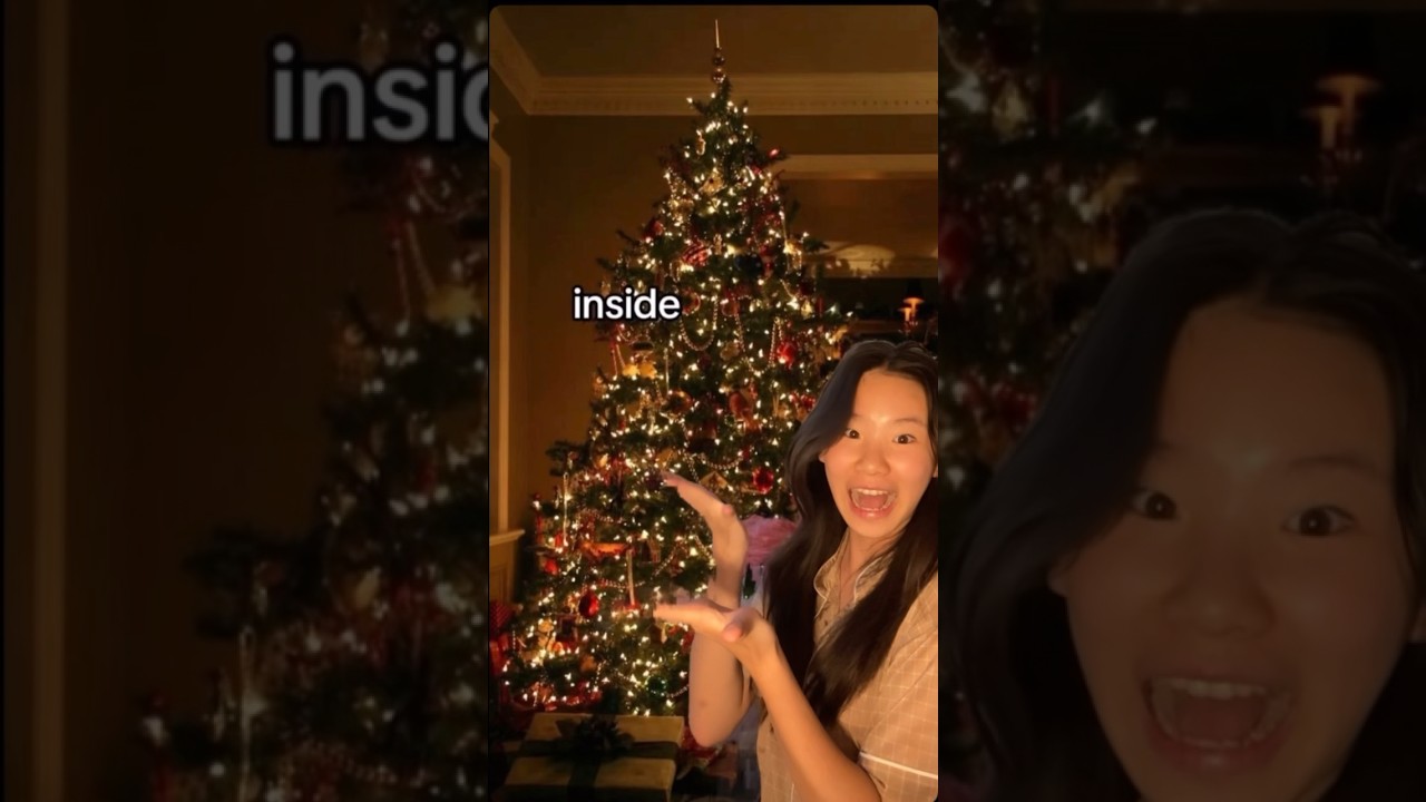 Christmas is the BEST HOLIDAY🎄🎅 #fypシ゚ #viral #shorts #christmas #funny #relatable