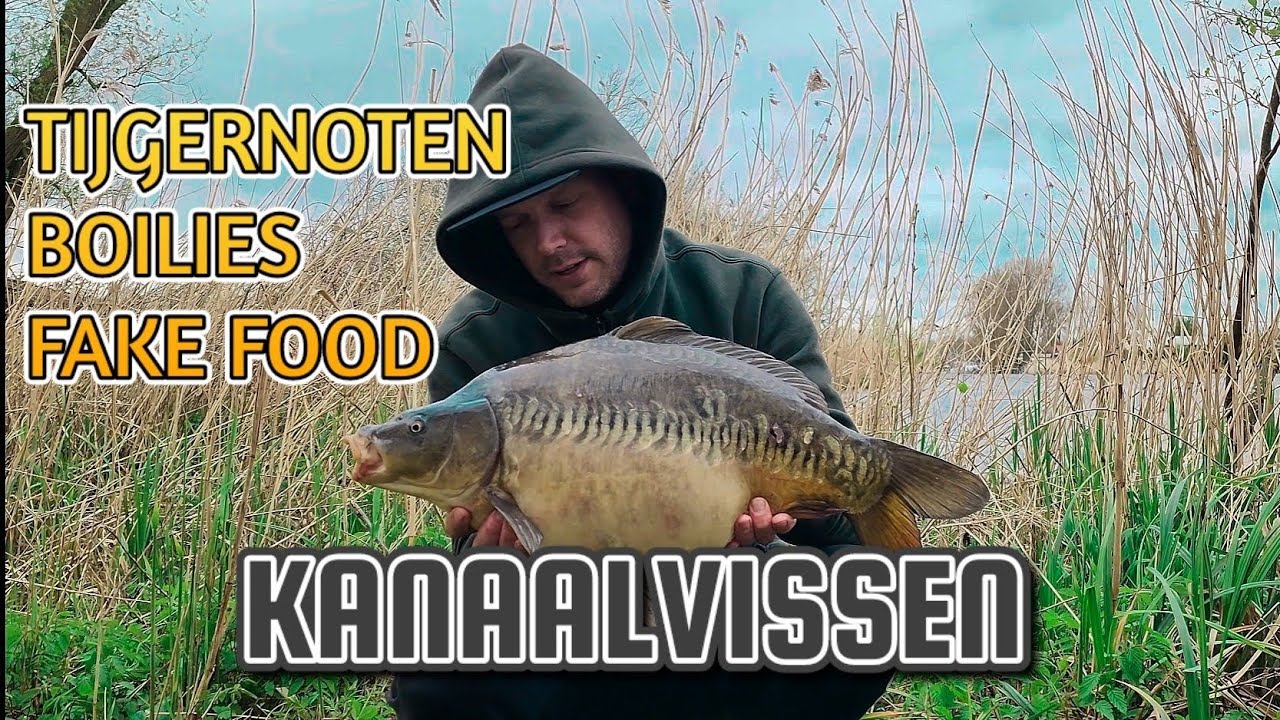 Kanaalvissen op karper met tijgernoten,boilies en fake food!