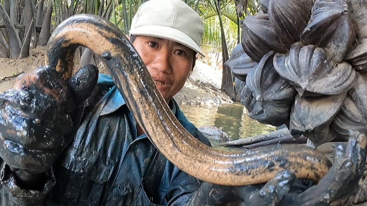 TIẾP TỤC BẮT LỊCH ĐỎ MÒ GẬP HANG LỊCH CỦ KHỦNG LỒ KIÊU ÔNG CẬU HỐT NÓ@**@TÙNG NHÀ BÈ 