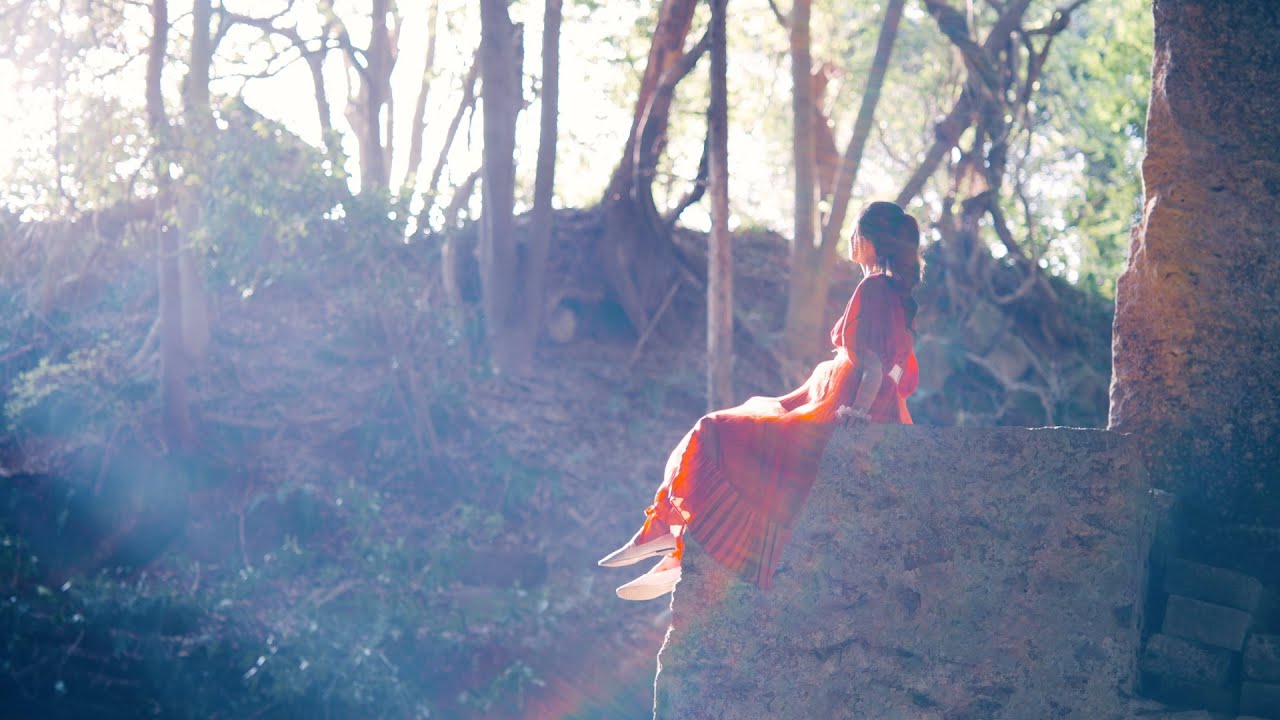 Wakana「Butterfly Dream」Music Video