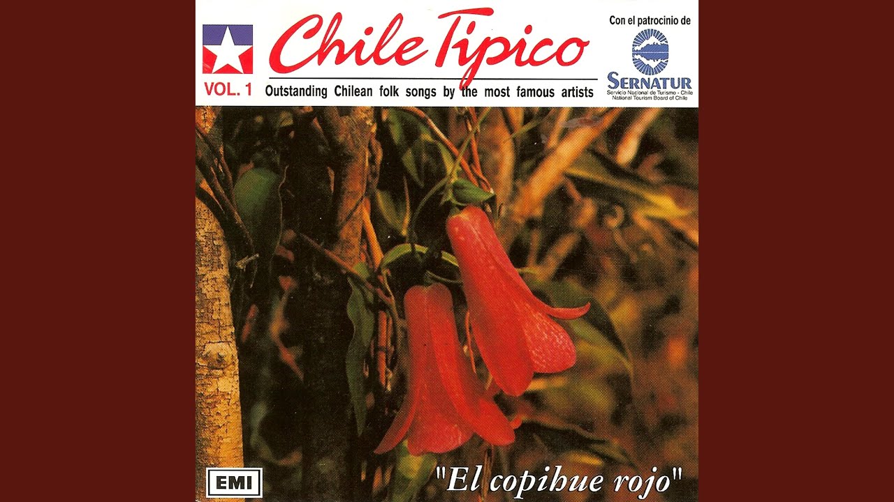 Huachi Torito