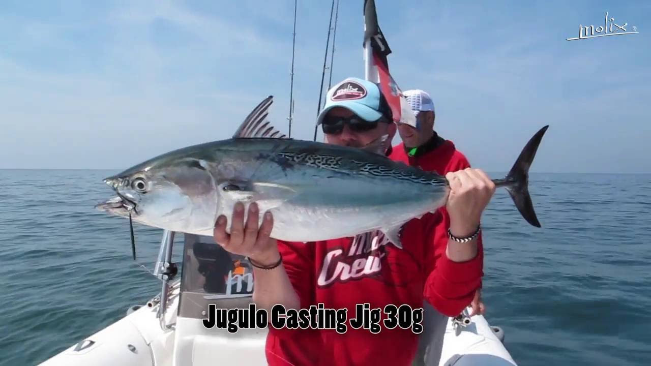 Come si pesca il Tonnetto alletterato in Adriatico