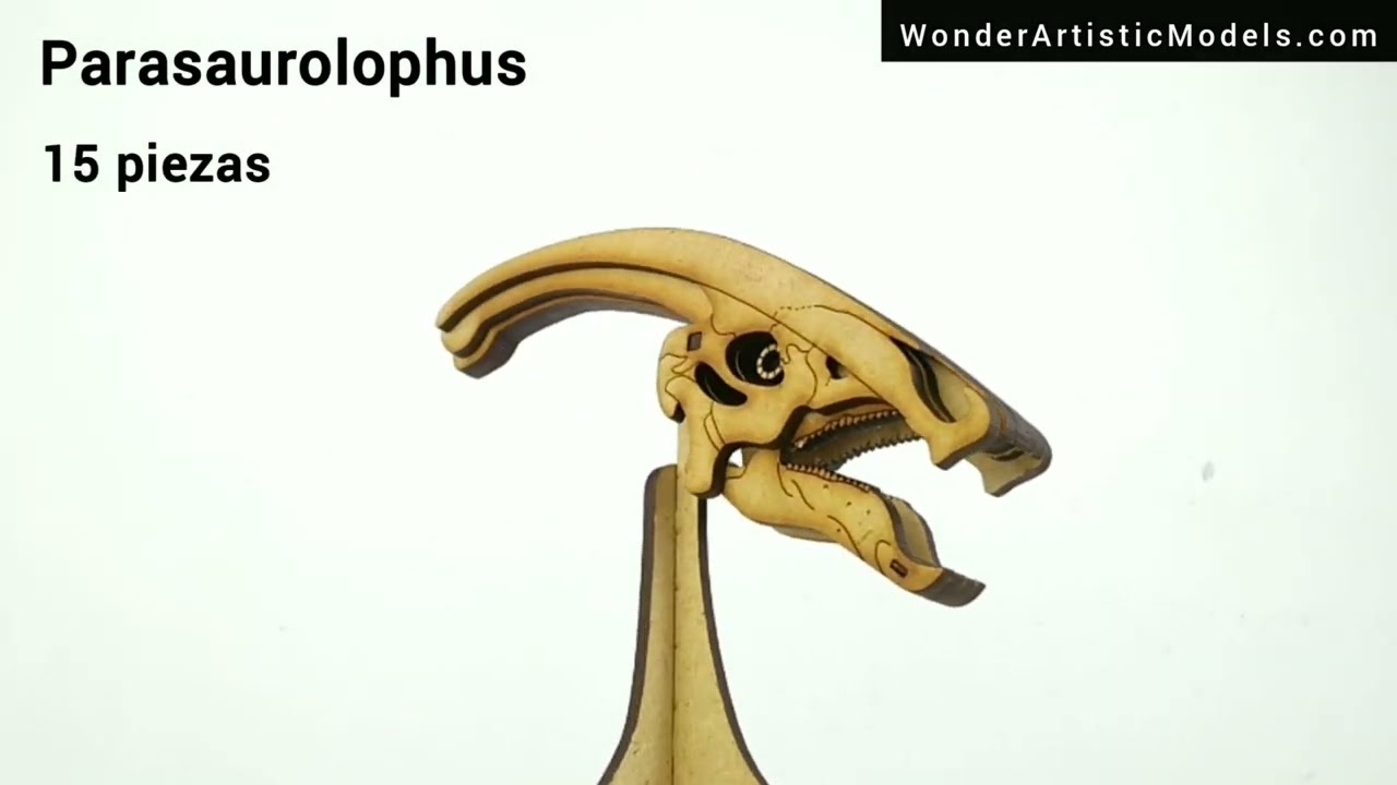 Cr&aacute;neo Parasaurolophus 3D Wooden Model Kit | WONDER Artistic Models