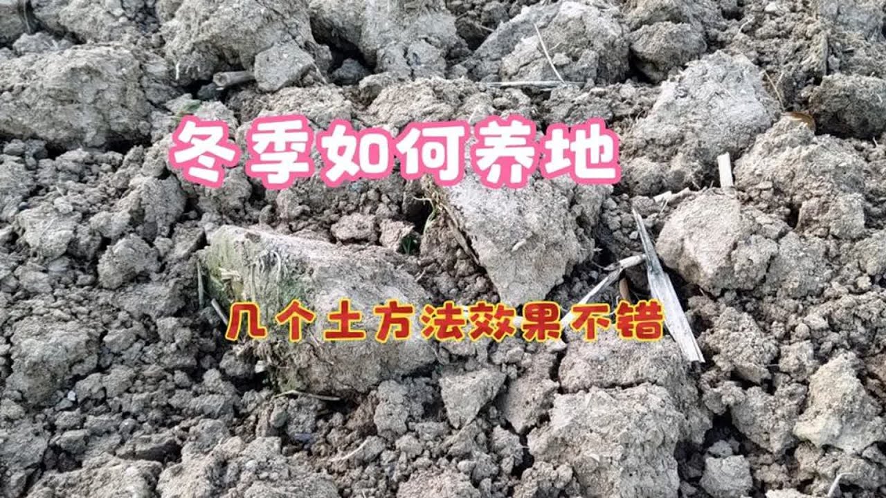 冬天如何养地？这几个土方法效果都不错，来年蔬菜长势旺病害少