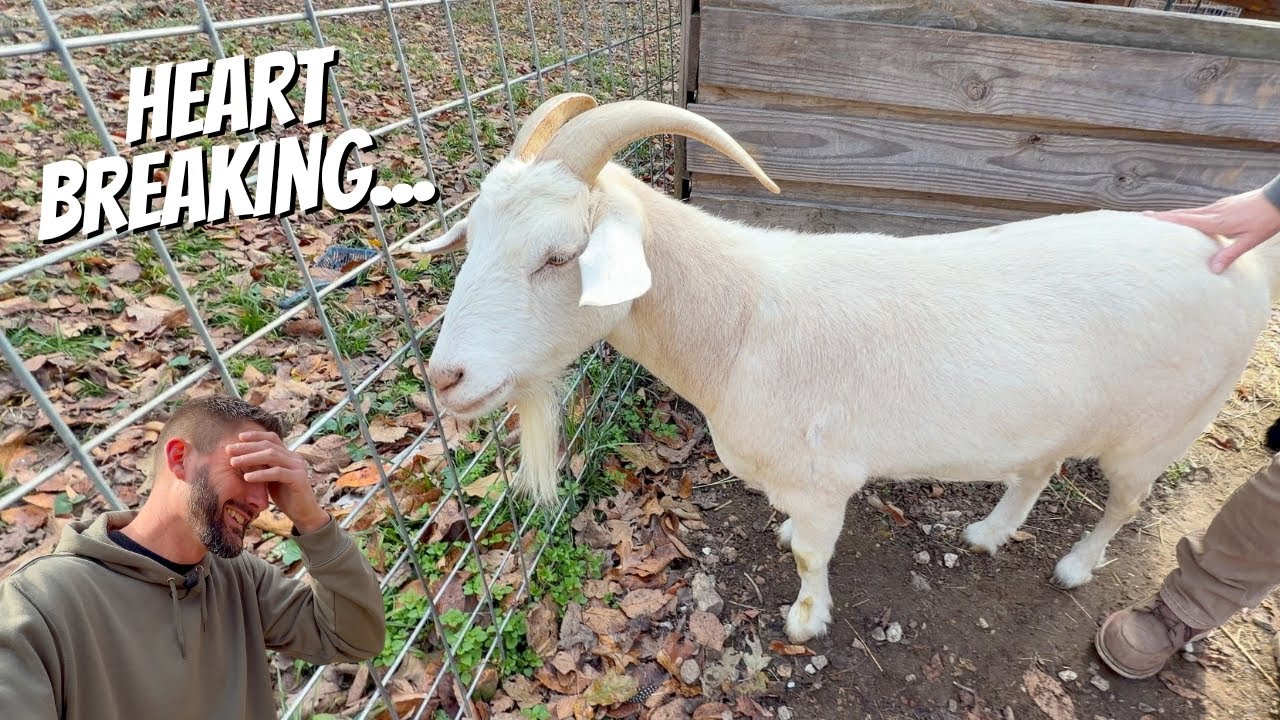 Тяжело видеть, как он проходит через это...