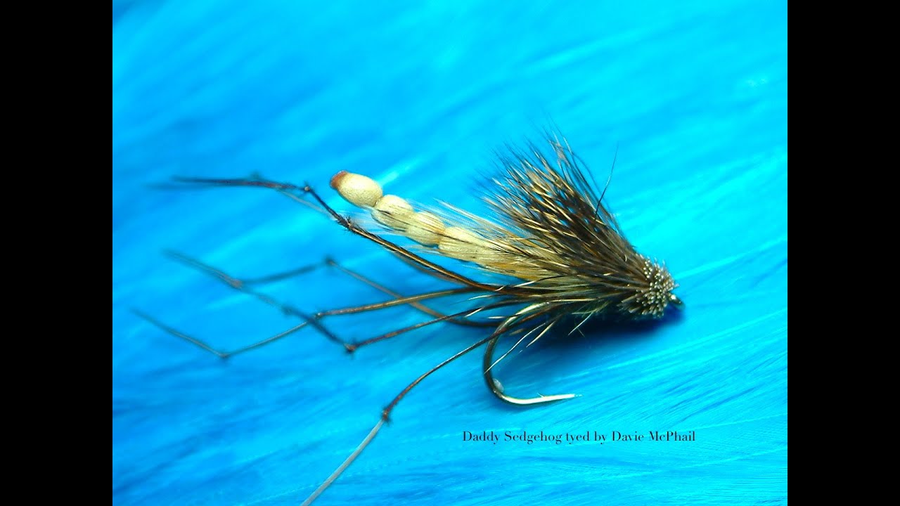 Tying a Sedgehog Daddy (Detached Body) by Davie McPhail (HD)
