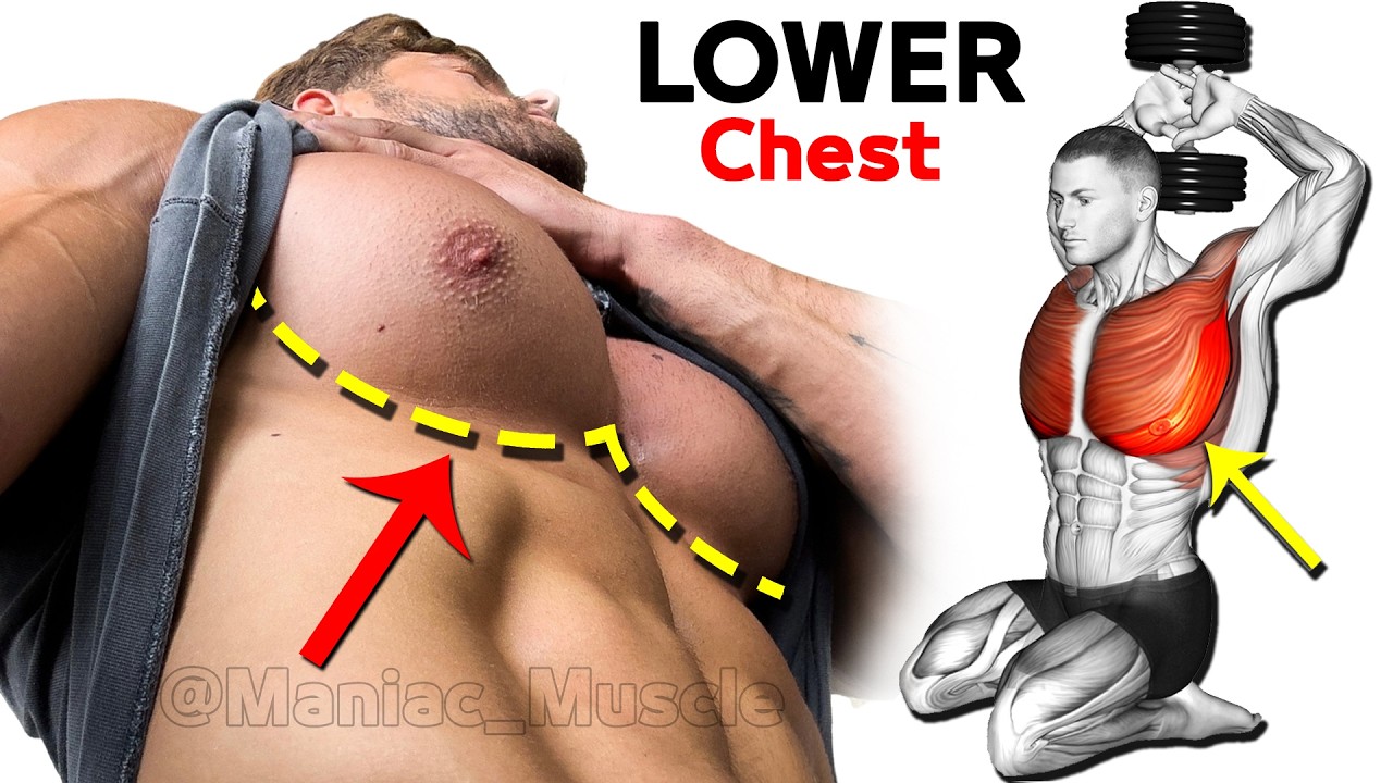 BEST LOWER CHEST Exercises ( Very effective )