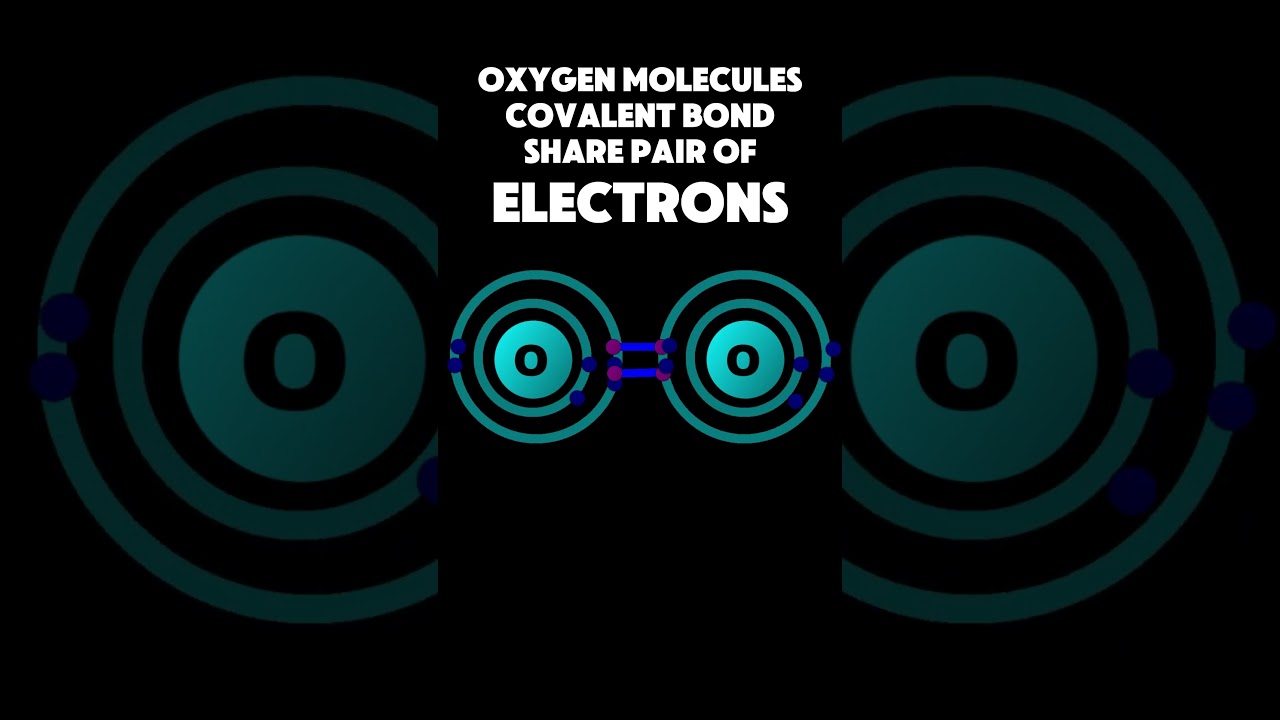 Oxygen Molecule Animation Loop Video