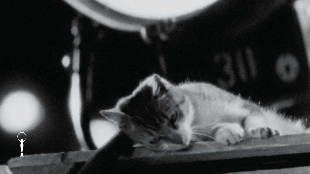 32nd KVIFF Official Festival Trailer