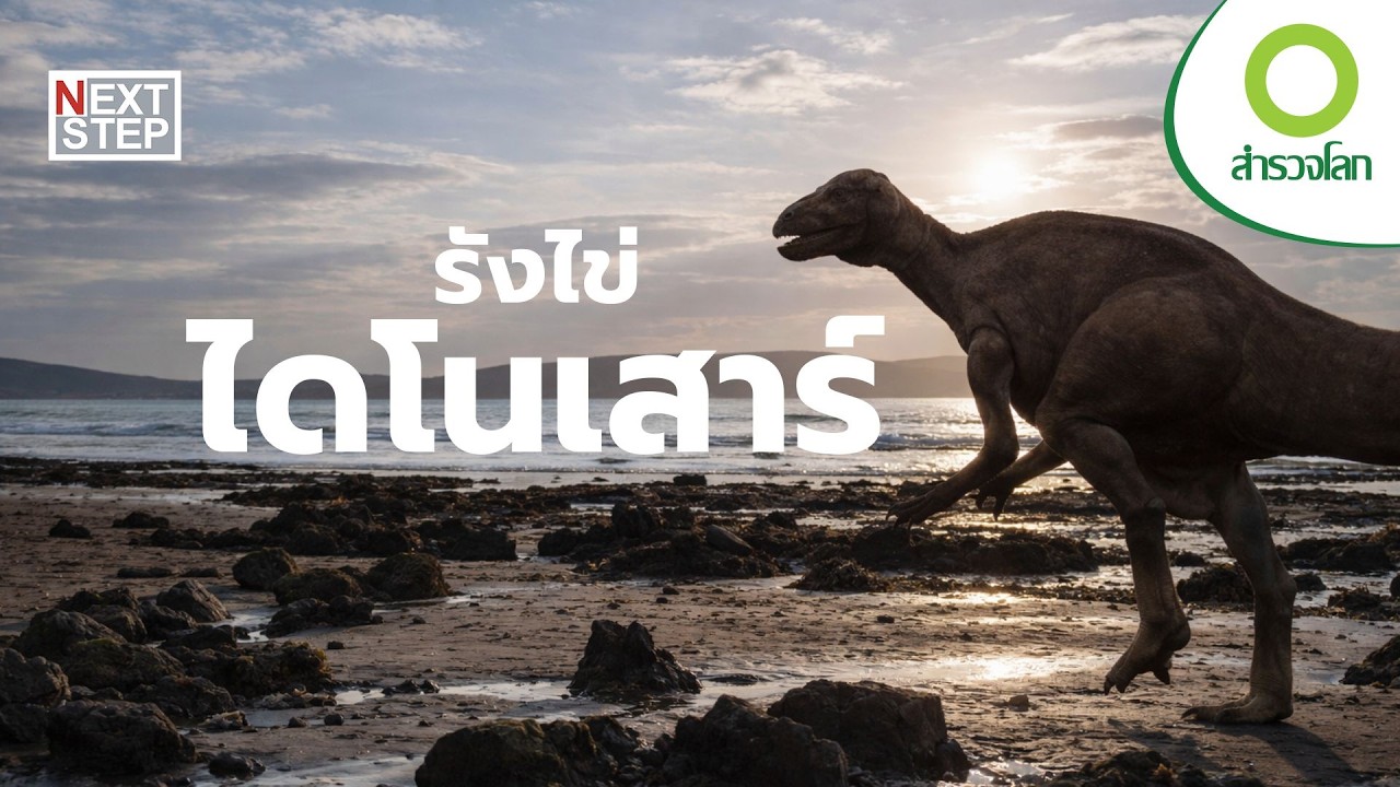 ใครคือเจ้าของไข่ไดโนเสาร์ยักษ์แห่งยุโรป? | สารคดี สำรวจโลก