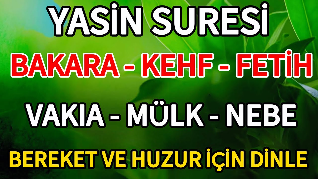 Yasin Suresi - Bakara Suresi - Kehf Suresi - Fetih Suresi - Vakıa Suresi - Mülk Ve Nebe Suresi Dinle