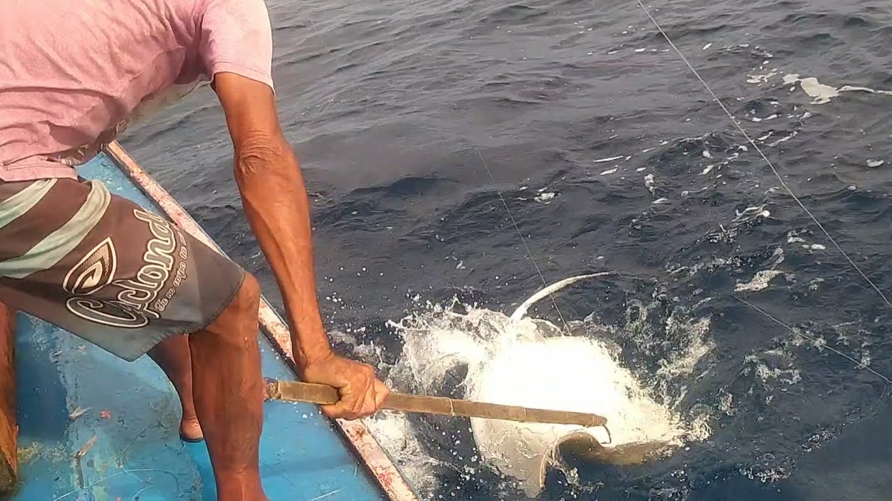ESSA GIGANTE NÃO QUERIA SAI DO MAR 🐟🐟🐟🐟🐟🐟🐟🐟🐟🐟🐟🐟🐟🐟