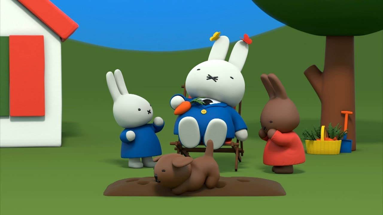 Miffy pranks her sleeping Dad | Miffy | Cartoons for kids
