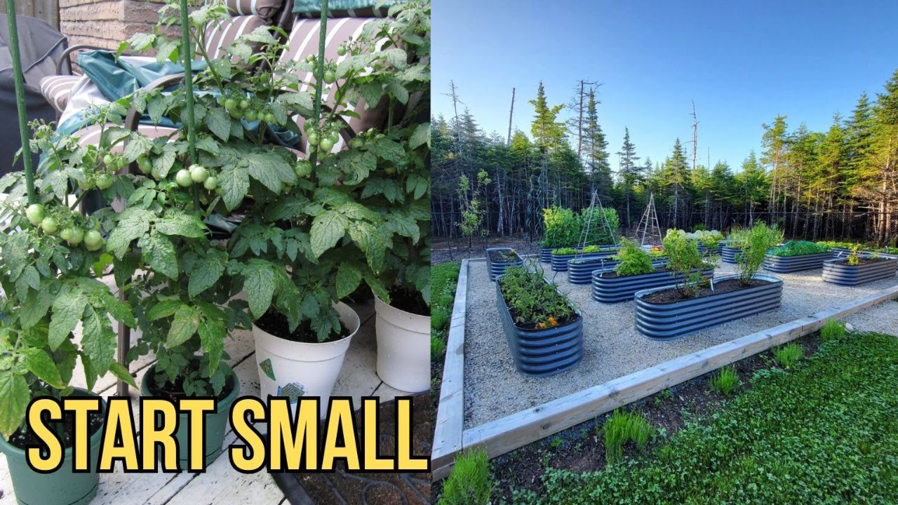 Beginning Gardening: How My Garden Grew Over 15 Years