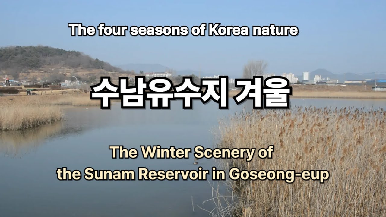 The Winter Scenery of the Sunam Reservoir in Goseong-eup / 수남유수지 겨울 풍경 / 물멍영상