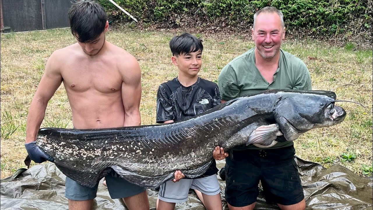 River Monster Catfish 💪🏻
