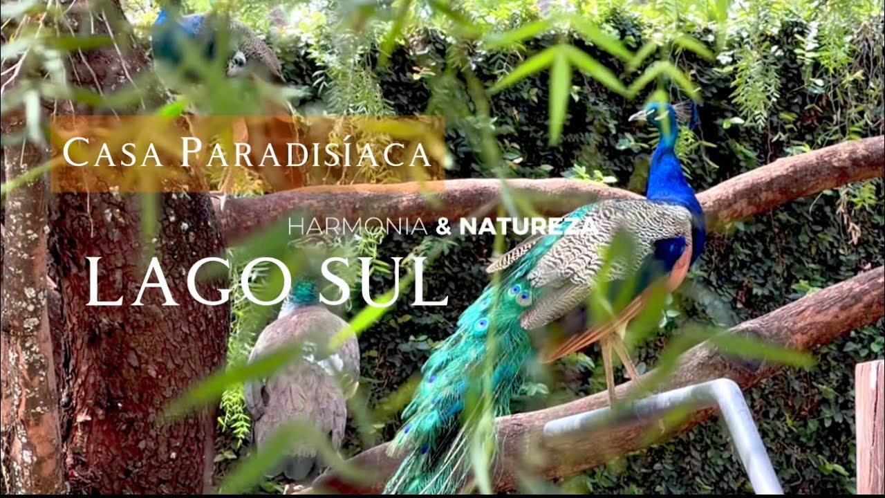 Casa Lago Sul - 10.000m2 - Uma Casa Paradisíaca 