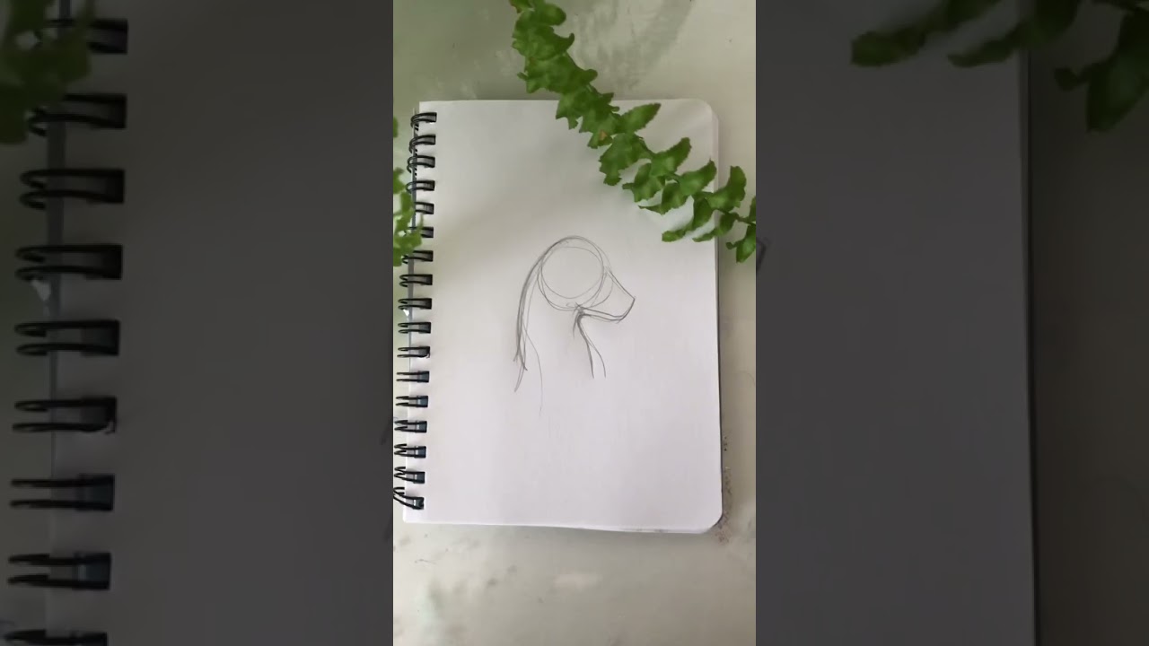How to draw a cute dragon