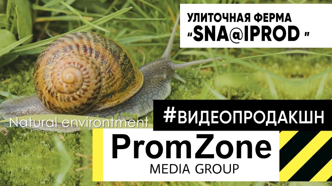 Презентационный ролик компании Sna@IProd #проморолик #улиточнаяферма