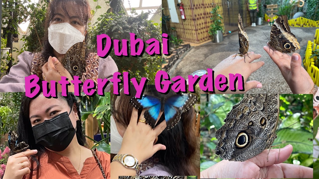 Dubai Butterfly Garden| World Largest Indoor Butterfly 🦋 Garden| UAE | Life of Faye