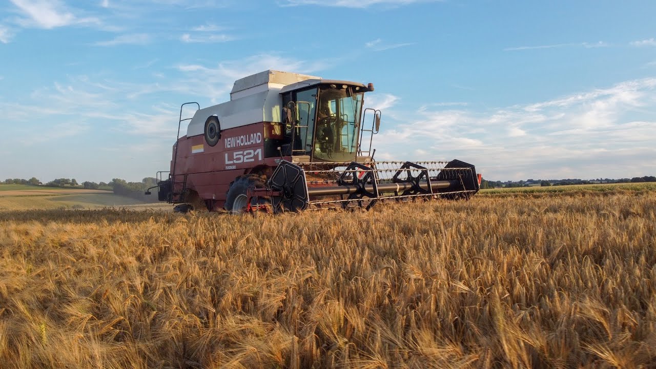 Moisson d'Escourgeon 2022 ! En fin de journ&eacute;e ! 😍🌆