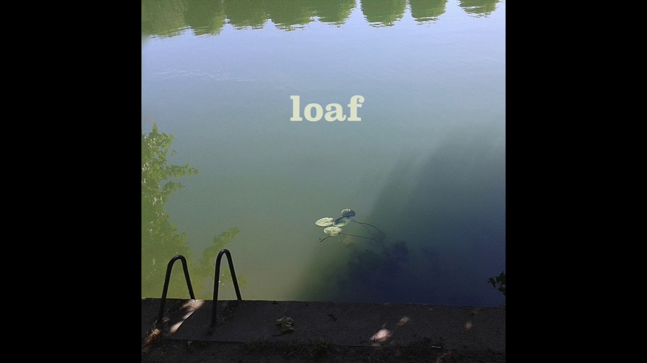 loaf, Bog-shed cover version