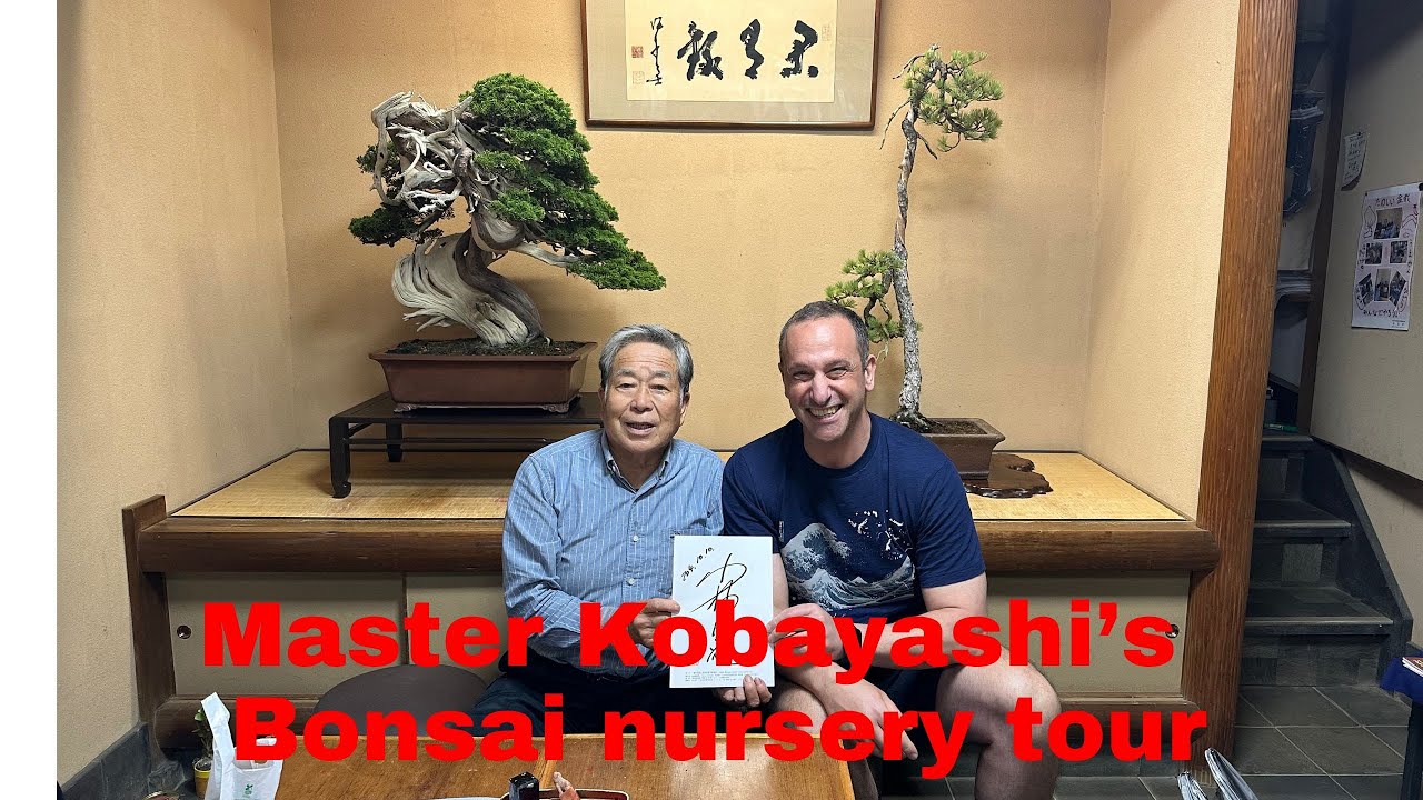 Bonsai Master Kobayashi's Bonsai Garden tour of his incredible bonsai