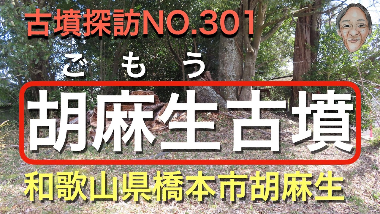 古墳探訪(NO.301）胡麻生(ごもう）にある古墳それ以外はわかりません。知られざる古墳かも。