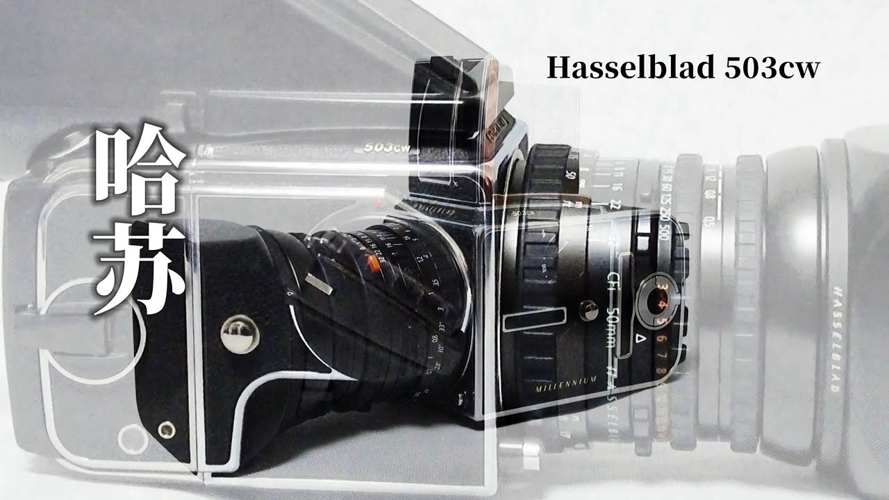 Hasselblad 503cw | Dedicated to my old friend who has been with me for more than 20 years.