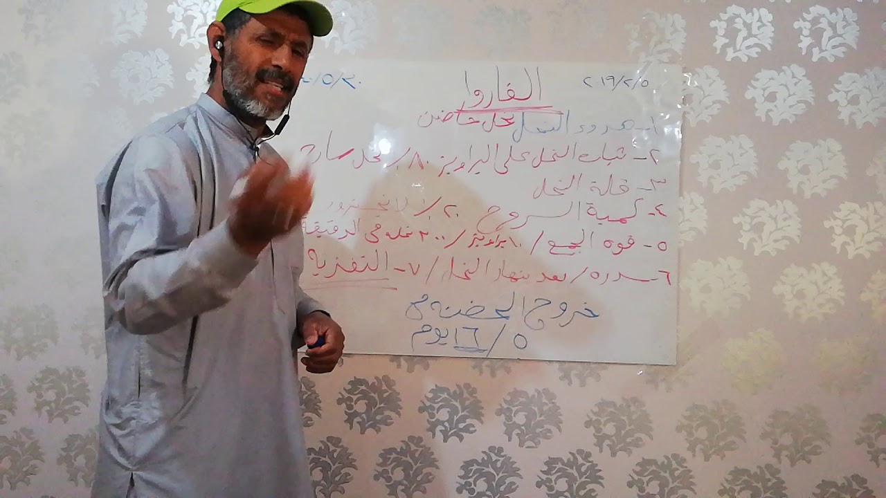 اهم النتائج في نظام ابوسلمان 2