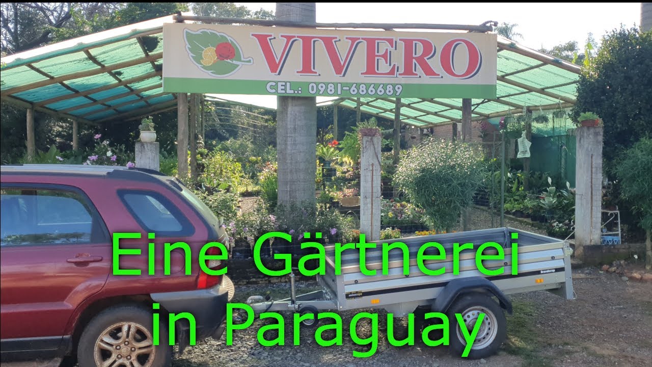 Eine Gärtnerei in Paraguay im Winter
