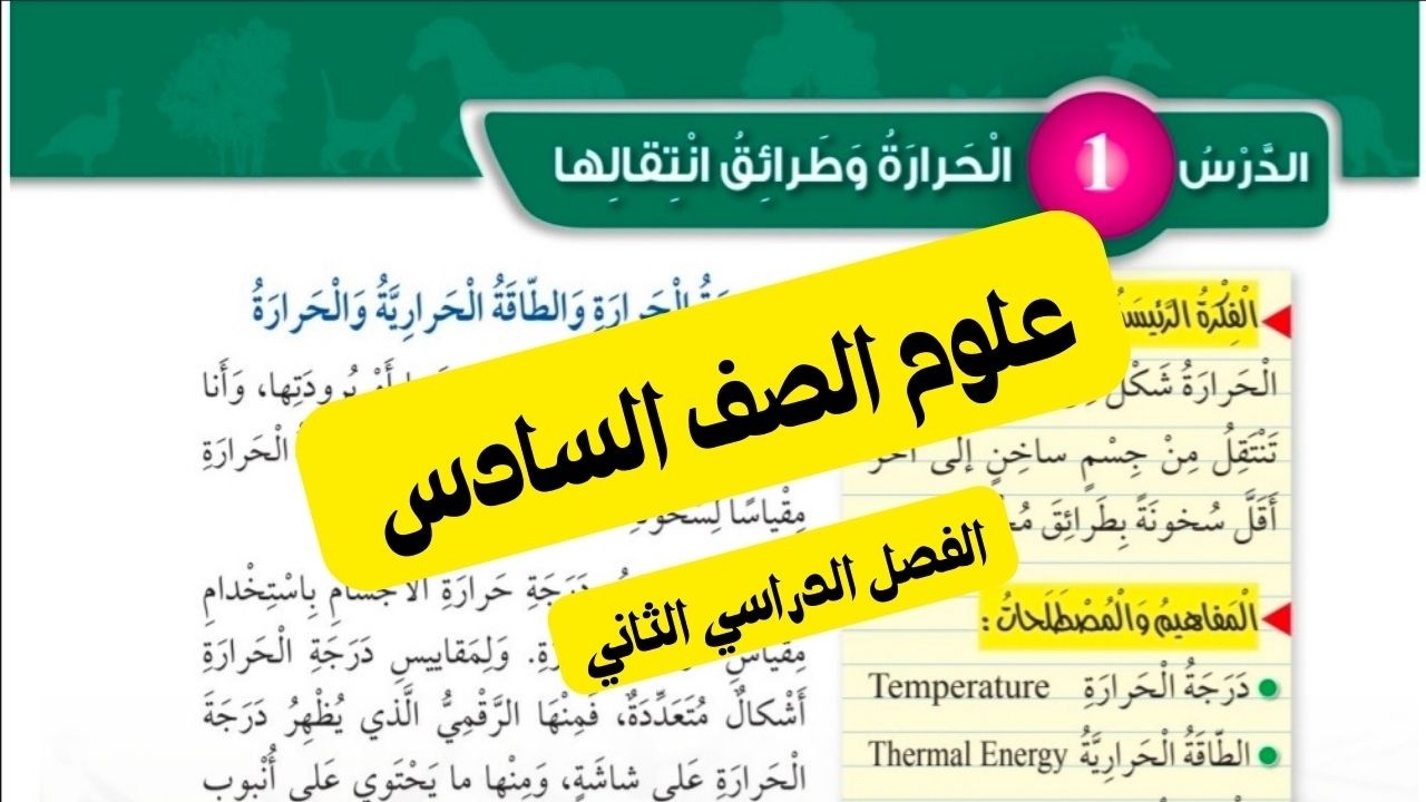 حل أسئلة مراجعة الدرس الحرارة وطرائق انتقالها - علوم الصف السادس الفصل الدراسي الثاني
