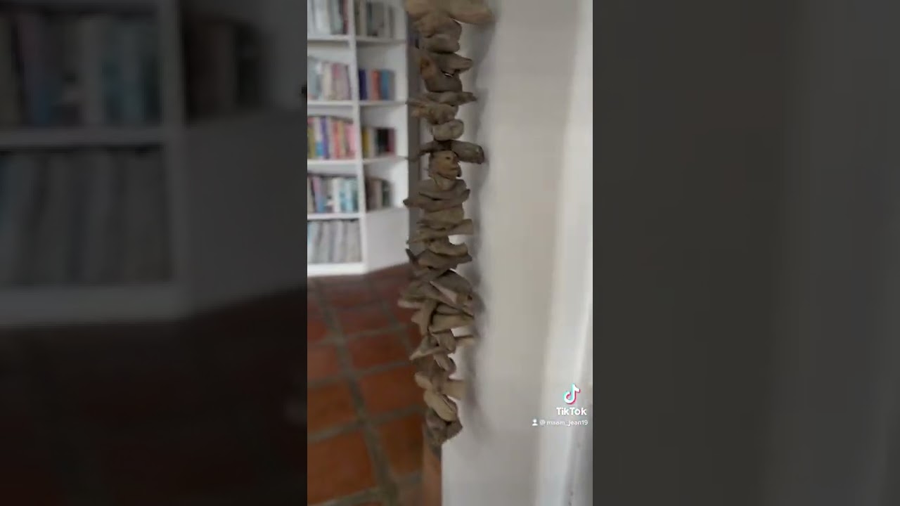 Arca&rsquo;s Yard, Caf&eacute; experience