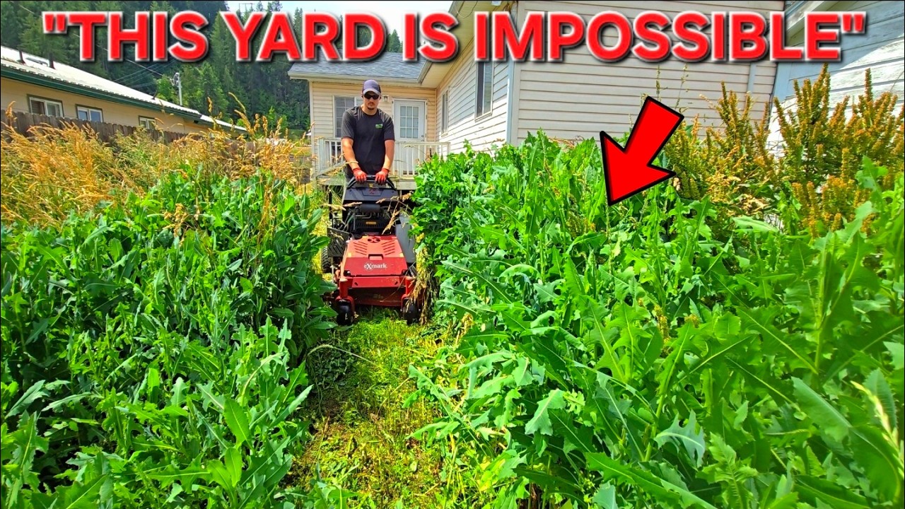 I Mowed This &ldquo;IMPOSSIBLE&rdquo; Yard Her Kids Could&rsquo;ve Gotten Lost In
